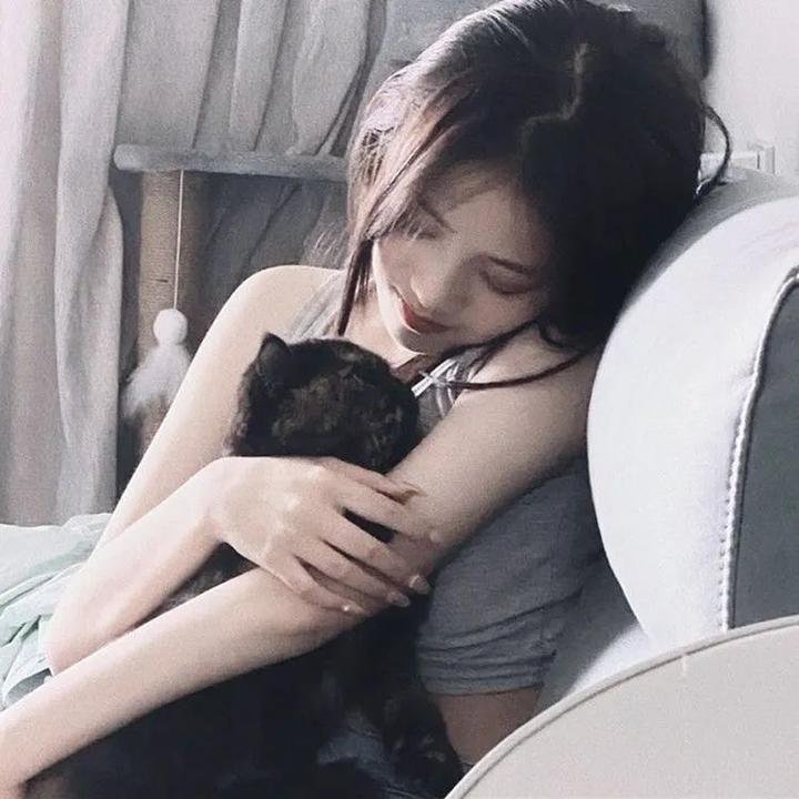 权少的贴身翻译官